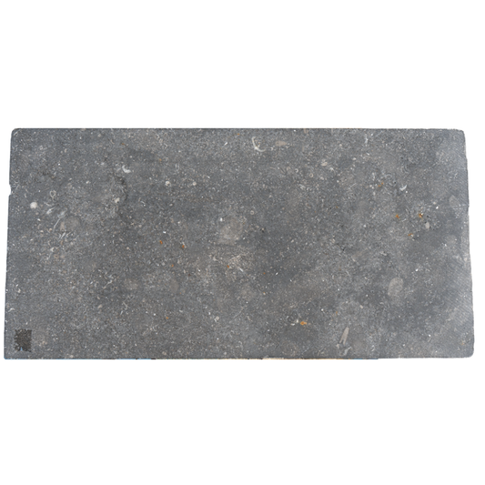 Shell Bluestone Rectangular Tile (FL-BS07)