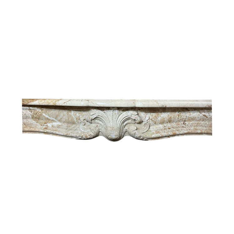 Antique French Grand Mix Napoleon Marble Mantel (M-SJHZ)