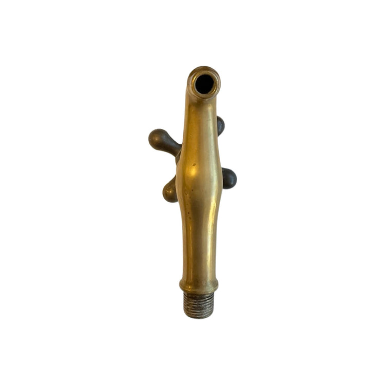 French Bronze Water Spout (H-LANT)