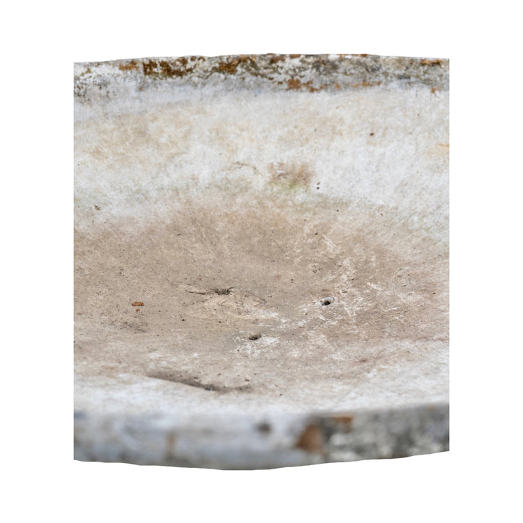Swiss Saucer Planter By Willy Guhl (V-DMYR)