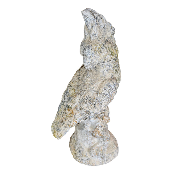 Contemporary French Granite Composite Cockatoo Sculpture (GE-APVZ)