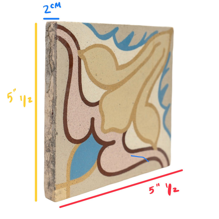 Reclaimed French Encaustic Concrete Tile (ET-BGPS)
