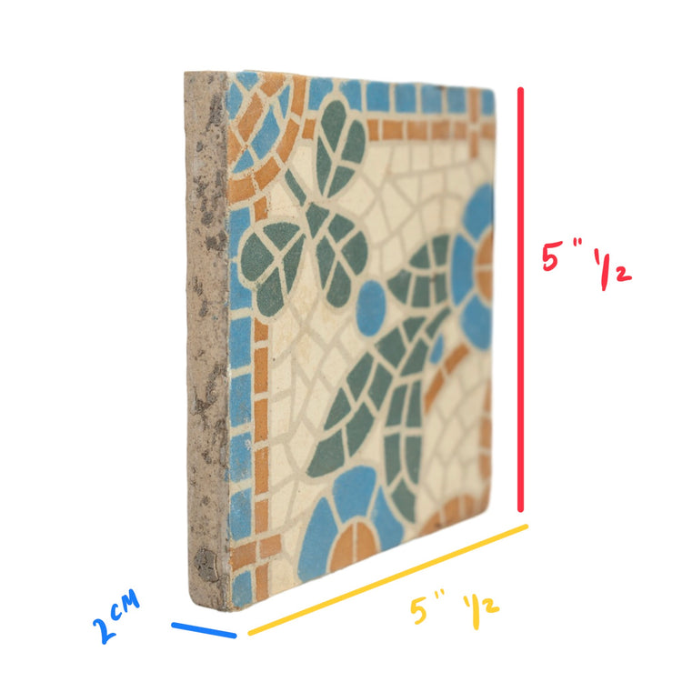 Reclaimed French Encaustic Concrete Tile (ET-FL105)