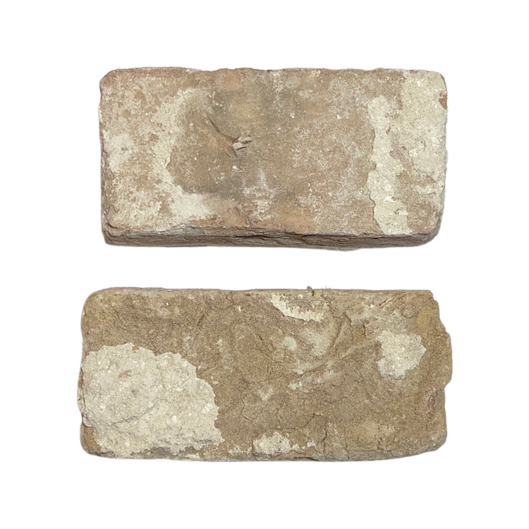 Reclaimed French Beige Terracotta Firebrick (TC-ISET)