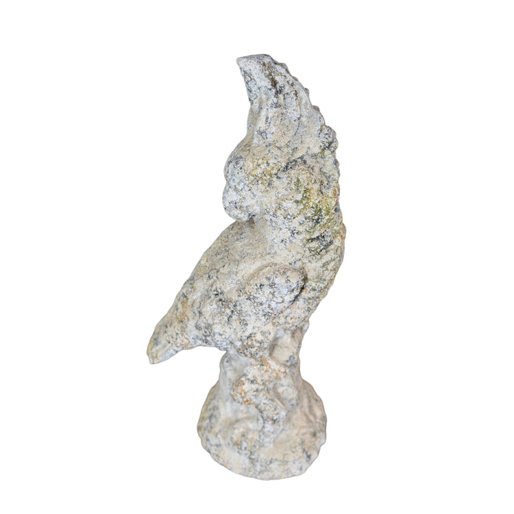 Contemporary French Granite Composite Cockatoo Sculpture (GE-APVZ)