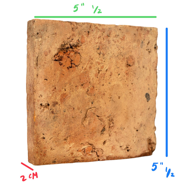 Reclaimed French Terracotta Square Tile (TC-WFJV)