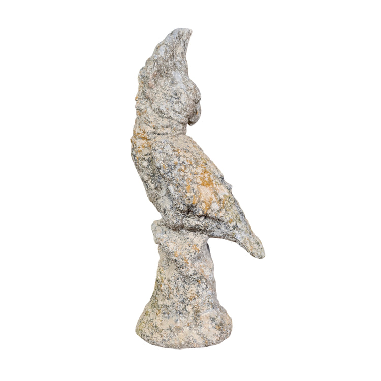 Contemporary French Granite Composite Cockatoo Sculpture (GE-APVZ)