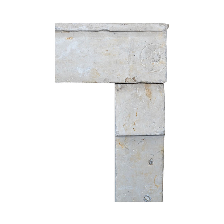 Antique French Limestone Fireplace (M-RIUG)