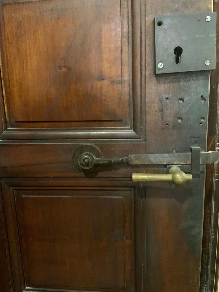 French Walnut Door (D2272)