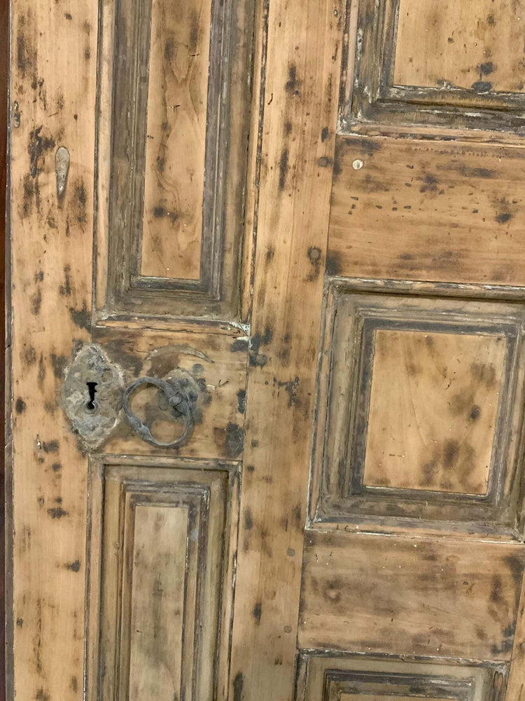 French Walnut Door (D841)