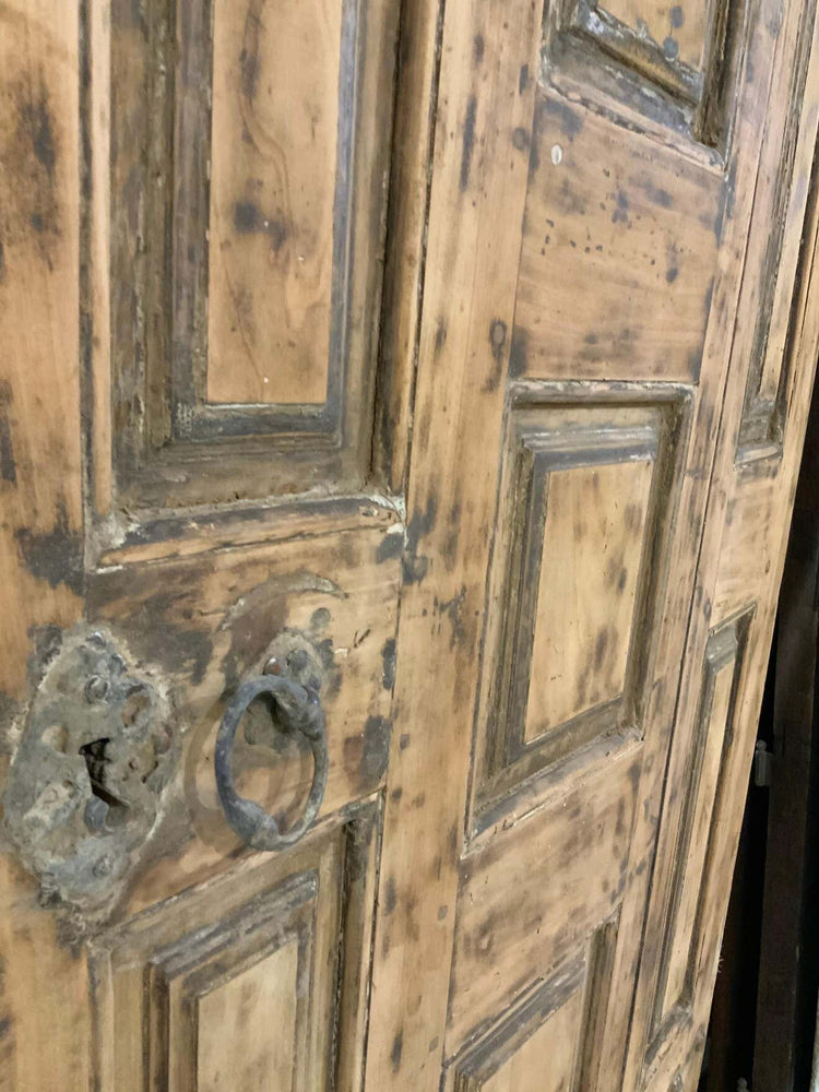 French Walnut Door (D841)
