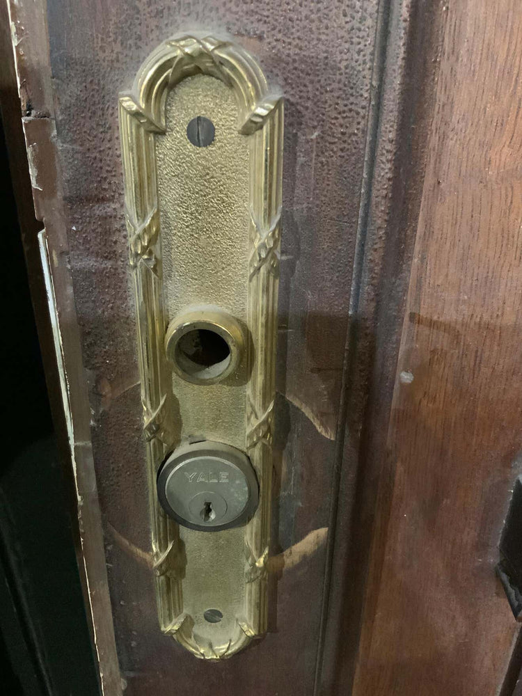 French Walnut Door (D843)