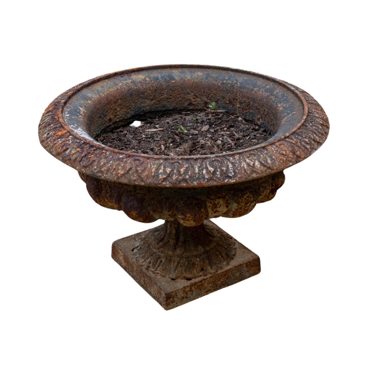 Pair of French Rustic Iron Planters (V-VMWA)