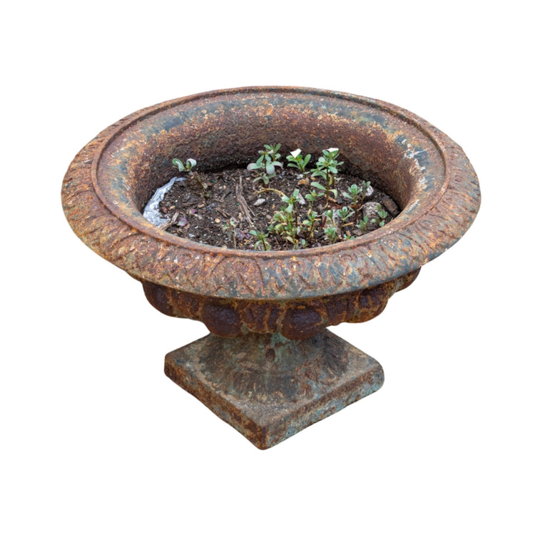 Pair of French Rustic Iron Planters (V-VMWA)