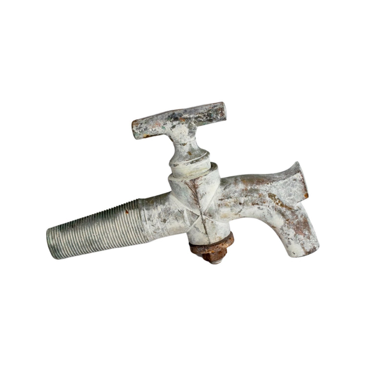 French Rustic Bronze Water Spout (H-SK7M)