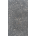 Shell Bluestone Rectangular Tile (FL-BS07)
