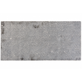 Belgian Bluestone Rectangular Tile Straight Edge (Fl-BS01-A)