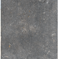 Shell Bluestone Rectangular Tile (FL-BS07)