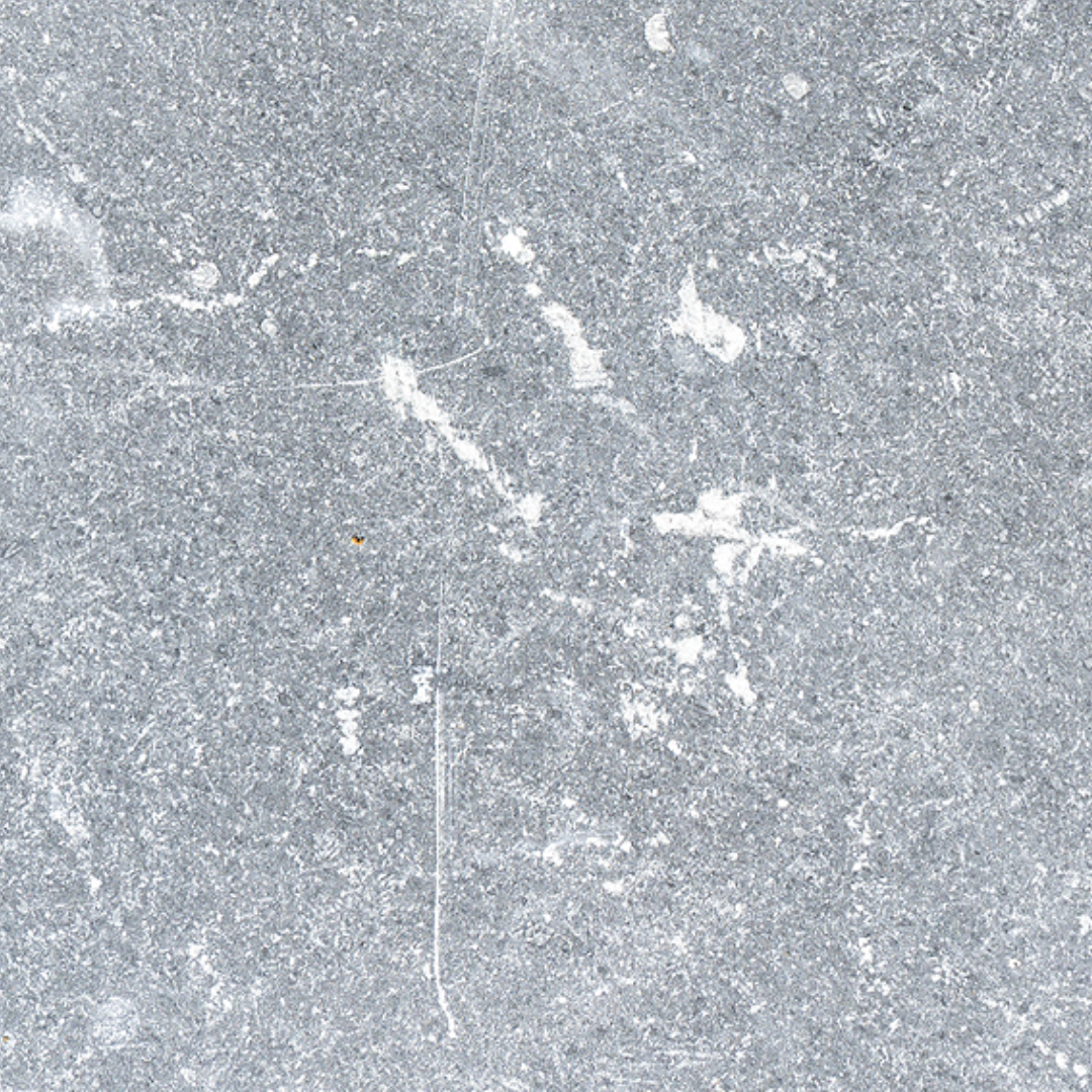 Noir Bluestone Square Tile (FL-BS02-B)