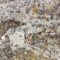 Long Rectangular Limestone Trough (T-07)