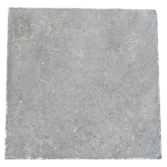 Bluestone Paver (FL-BS14)