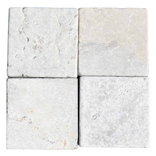 Fossil Bluestone Tiles(FL-BS04)