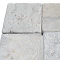 Fossil Bluestone Tiles(FL-BS04)