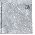 Noir Bluestone Square Tile (FL-BS02-A)