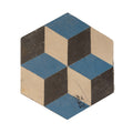 Reclaimed French Encaustic Hexagonal Geometric Concrete Tile (ET-HSMW)