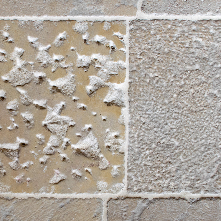 French Burgundy Limestone Tile