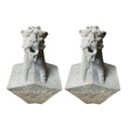 Pair of Belgian Bluestone Sculpture Gargoyles (GE-HPDU)