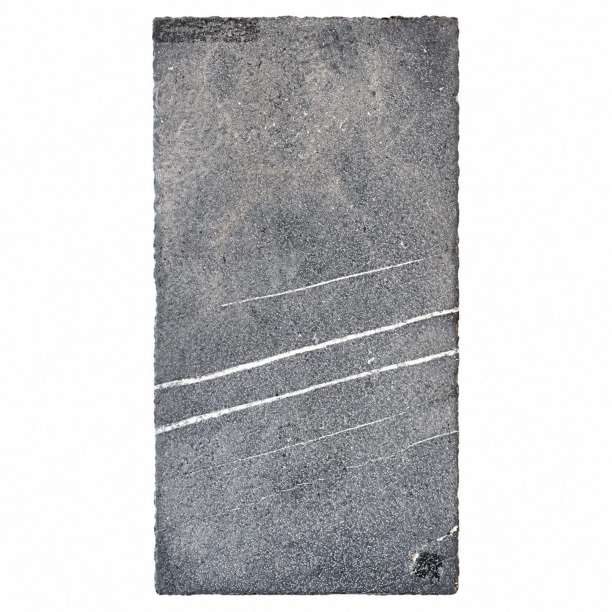Belgian Bluestone Rectangular Tile Tumbled Edge & Hammered Finish (Fl-BS01-B)
