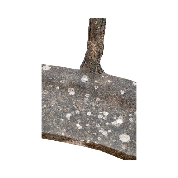 Antique French Faux Bois Bench (GE-WFCK)