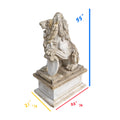 Pair of Antique French Marble Lions on Plinth Bases (GE-ZDXF)