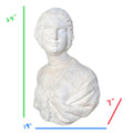 Antique Italian Carrara Marble Bust (HD-XVCE)