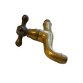 French Bronze Water Spout (H-LANT)