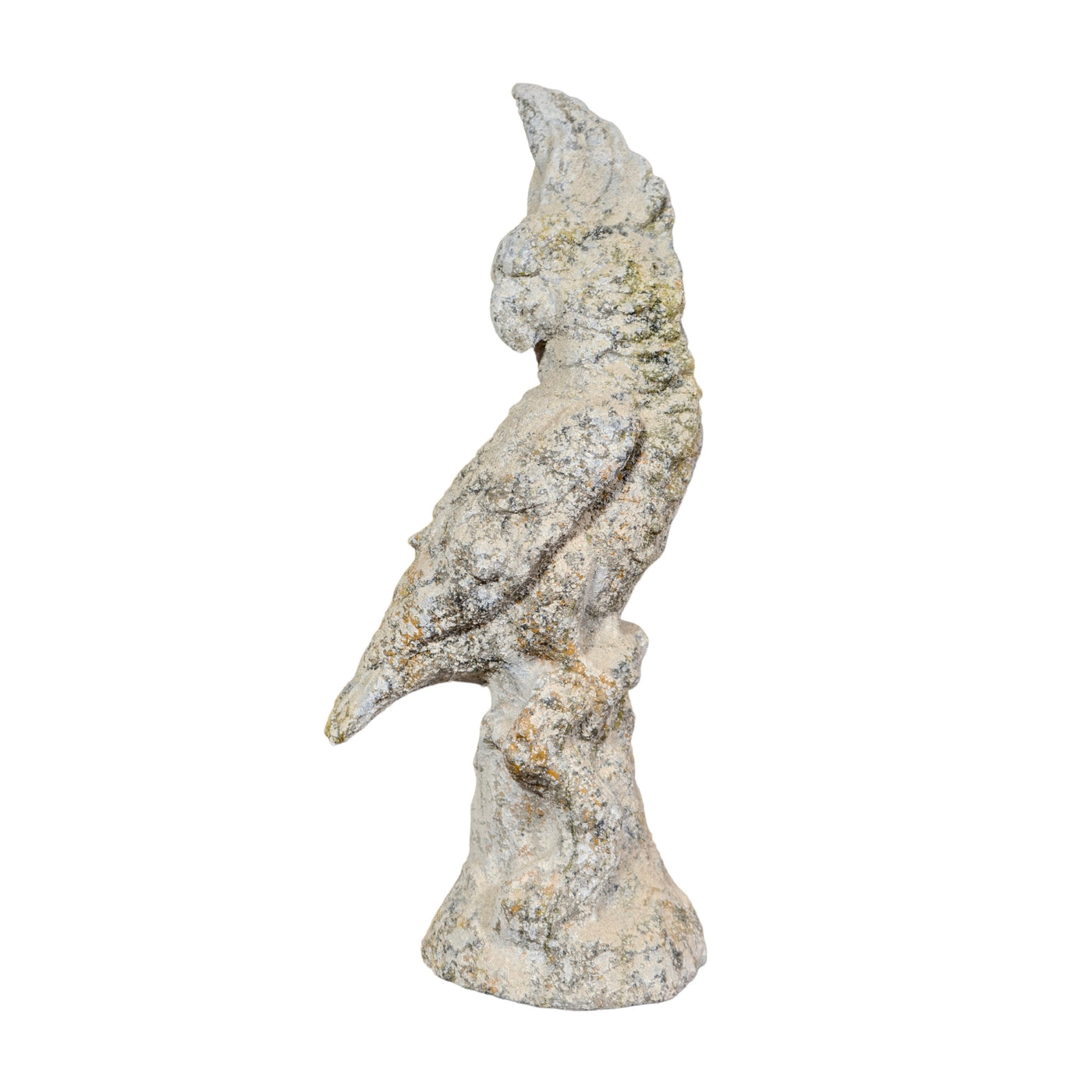Contemporary French Reconstituted Stone Parrot Statue (GE-APVZ)