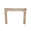 Antique French Grand Mix Napoleon Marble Mantel (M-SJHZ)