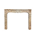 Antique French Grand Mix Napoleon Marble Mantel (M-SJHZ)