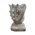 French Limestone Shell and Conch Planter (V-XEZL)