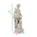 Contemporary French Reconstituted Stone Statue of Apollo (GE-KBRV)