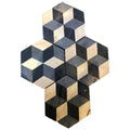 Reclaimed French Encaustic Hexagonal Geometric Concrete Tile (FL113)